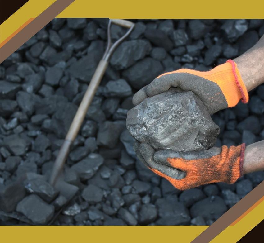 Formation & Renforcement des Capacités